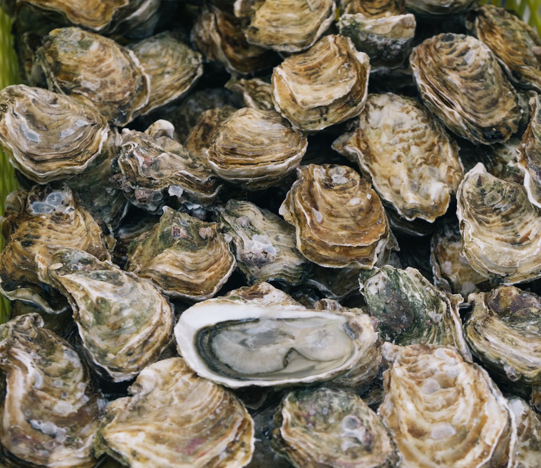 Pro oyster shucking techniques to train kitchen staff fast
