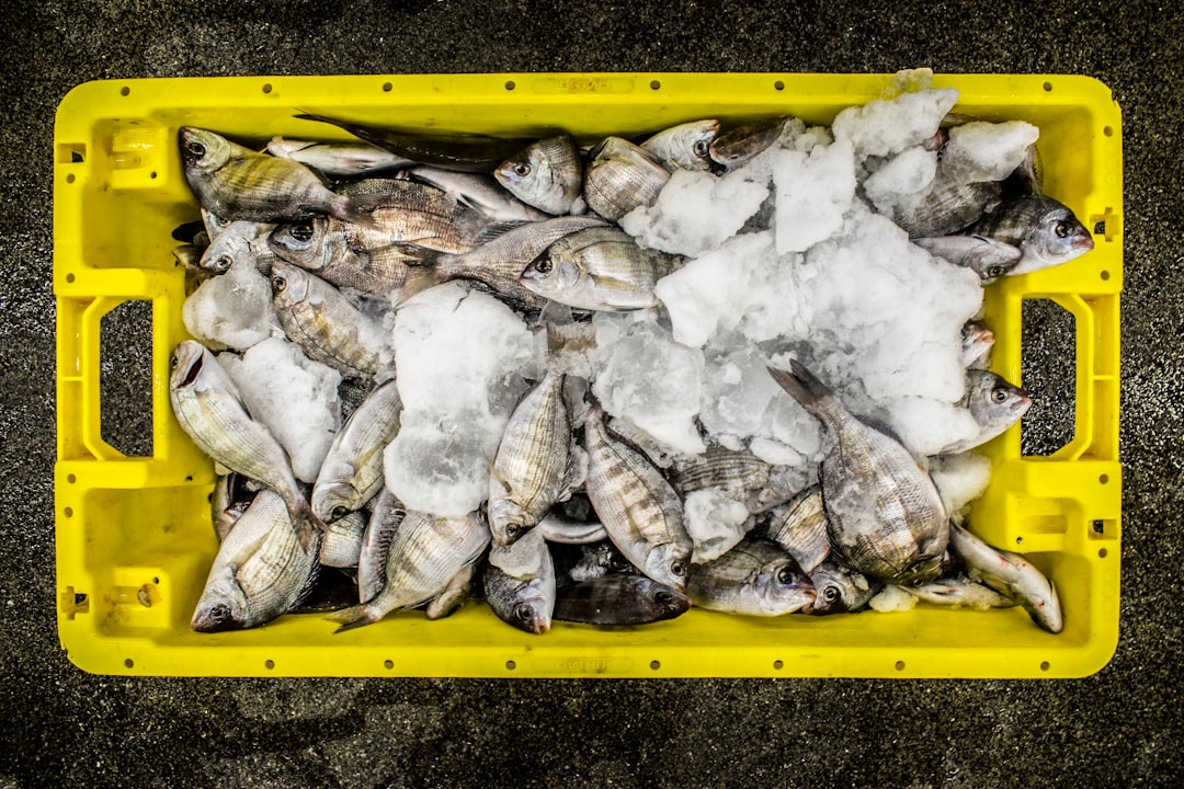 Catering seafood events: smart gifting picks for 2026