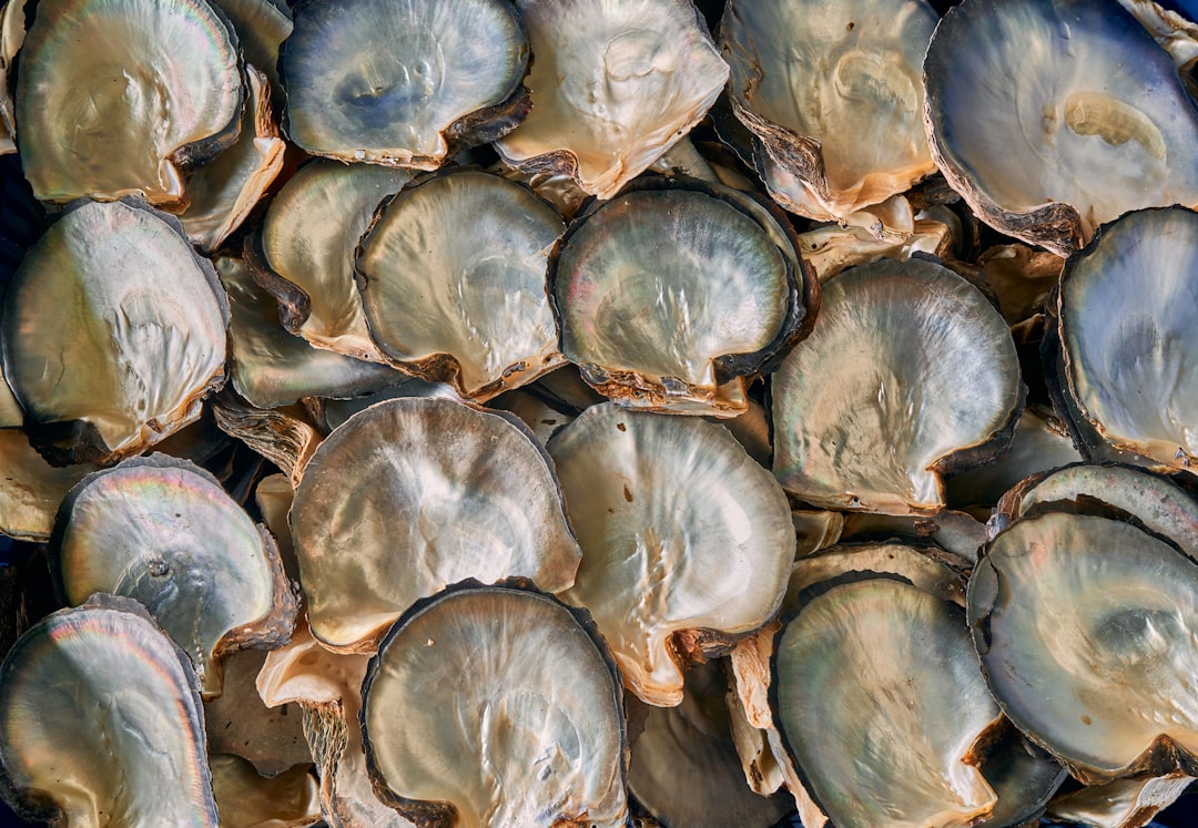 Best oyster shucking gift set: what to include in 2026