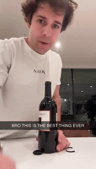 Wine bottle Opener